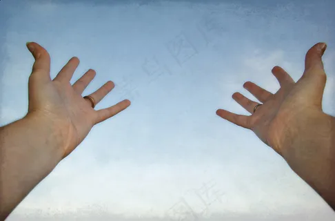 手,手套,手掌,标准洗手法,手模,准备接收