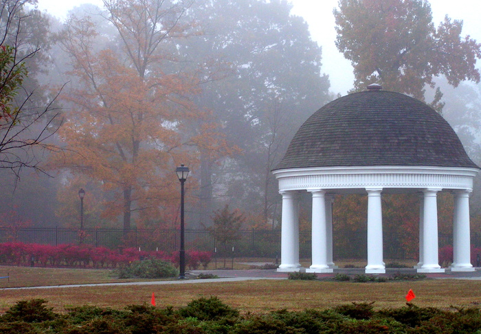 树,亭楼,长城,剧院/博物馆/礼堂,街道,有雾的秋天的早晨