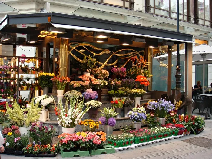 中式传统建筑,街道,盆栽植物,花店,工艺品,维也纳市中心的花店