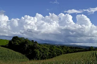 天空,风景,白云,树,草原,云的收集者