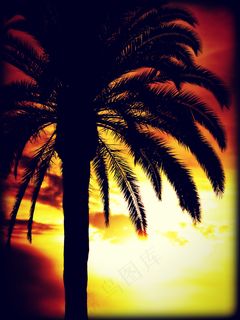 “地狱之门将不存在...”