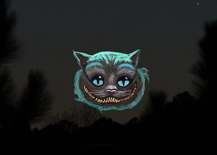 柴郡猫月亮