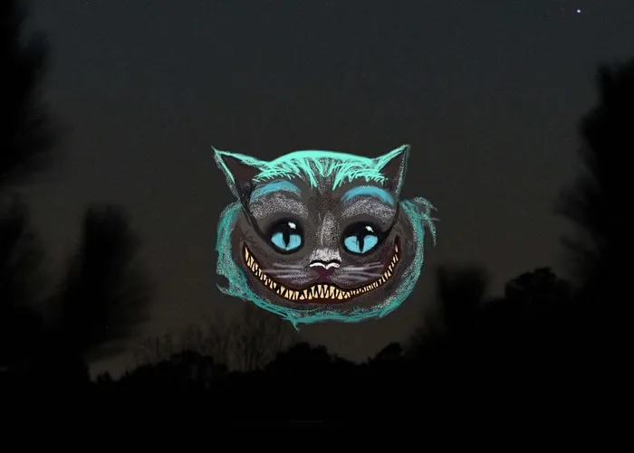 柴郡猫月亮