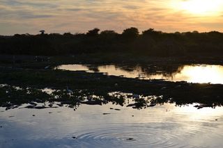 天空,湖泊,海洋,霞光,江河,潘塔纳尔