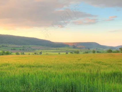 稻田,薰衣草,草地,风景,草原,布拉特营