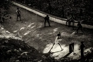 自行车,地板砖,塌陷,大地震,虫子,加里板球