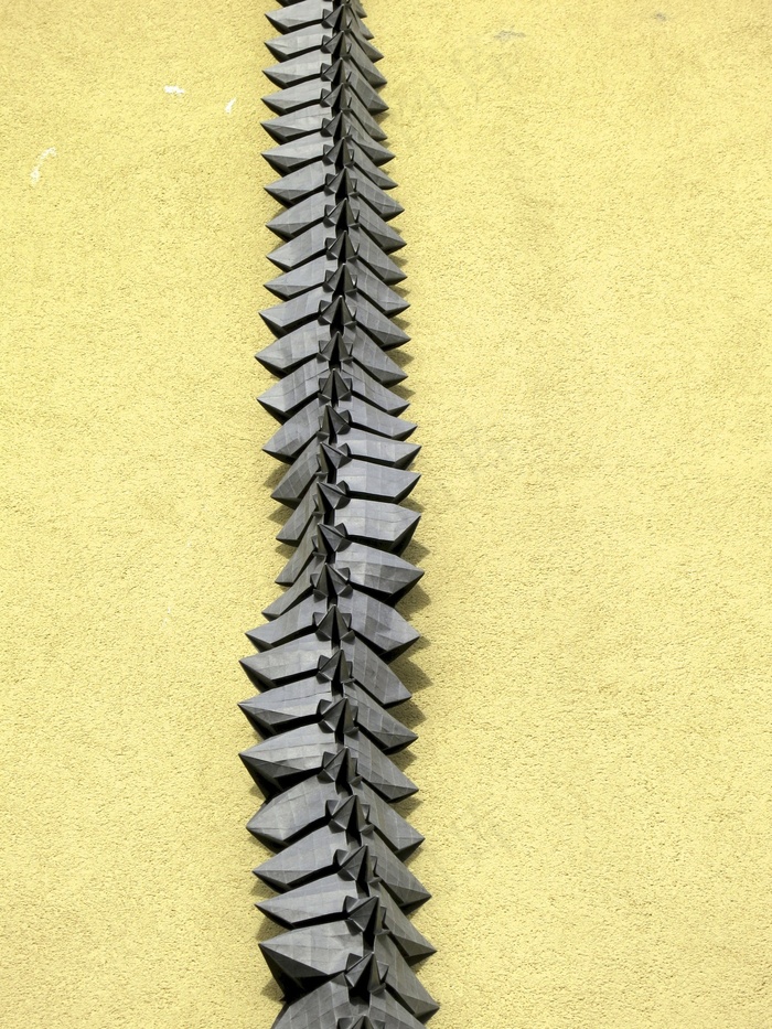 Dragon Helix，正在进行中