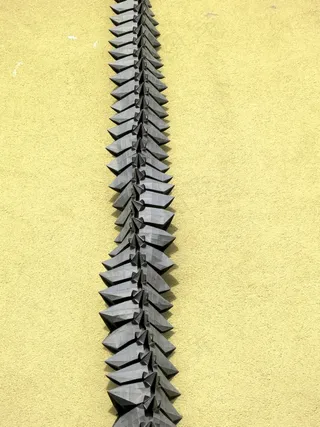 Dragon Helix，正在进行中