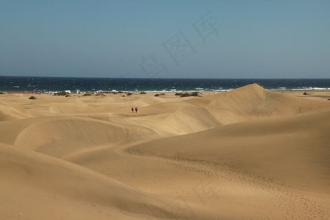 沙漠,被子,驼队,床单,台式电脑,马斯帕洛马斯