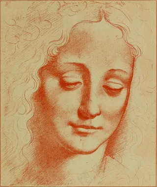 图片来自“ Leonardo da Vinci，艺术家，思想家和科学人”的第102页（1898年）