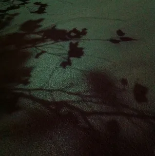 床上用品,床单,被子,油画,树,阴影:: iPhone