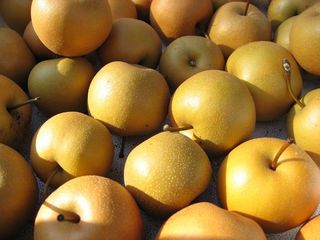 丰水梨,梨,黄梨,翠冠梨,黄冠梨,亚洲梨