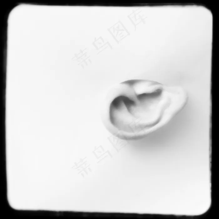第39天-全耳