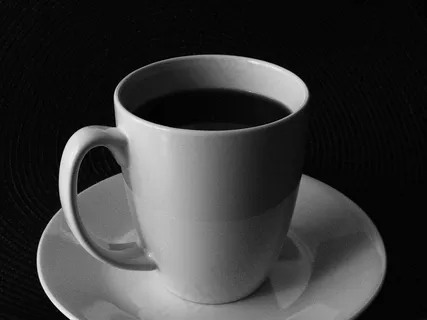 周六下午的法式烤肉