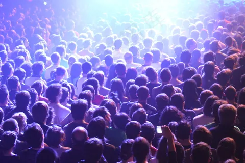 海洋,灯光舞台,花卉,薰衣草,树,Llegóel Mesias