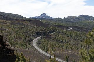 长城,山峦,城楼,城垣,树,从山上泰德峰的景色