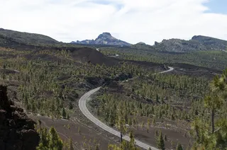 长城,山峦,城楼,城垣,树,从山上泰德峰的景色