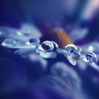 图像素材,水珠,水珠图,吊坠,玩具,甜蜜的感觉 图像素材,水珠,水珠图,吊坠,玩具,甜蜜的感觉