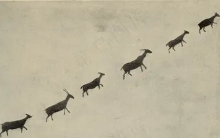 图片来自“艺术史”（1921年）第196页