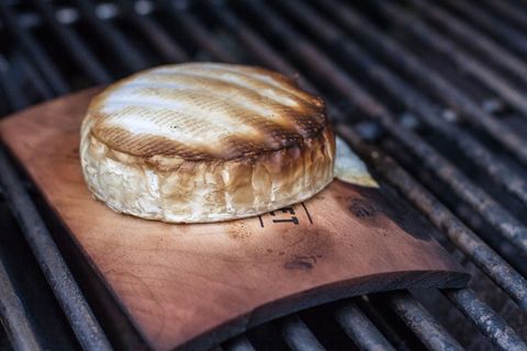 斑马贻贝,贝,花鹿宝螺,芋螺,烧饼,木板的卡门培尔奶酪