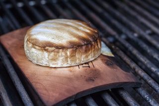 斑马贻贝,贝,花鹿宝螺,芋螺,烧饼,木板的卡门培尔奶酪