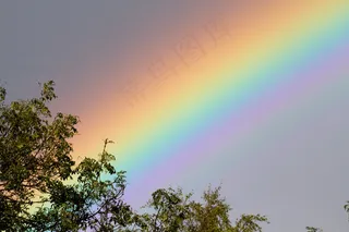 雨后的彩虹,天空,北极光,树,卷积云,彩虹1