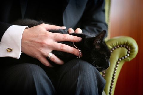 313/365：“来邦德先生，我一直在等你。”