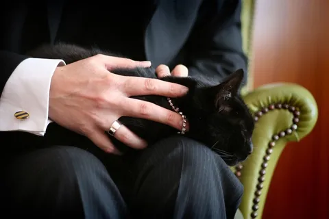 313/365：“来邦德先生，我一直在等你。”