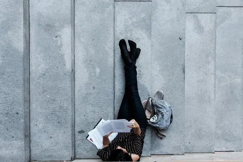 鞋子,街头涂鸦,小狗,鸟类,摩托车,哈佛学生