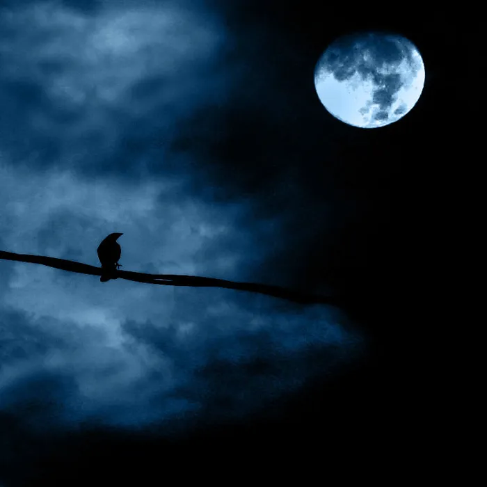 月夜,太空,月亮,月球,地球图,Noche de luna llena-满月之夜