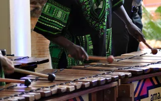 ama伏击马林巴斯