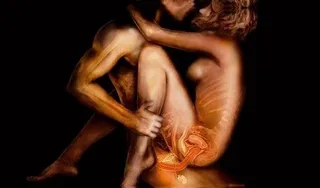 人们通过x-rays05