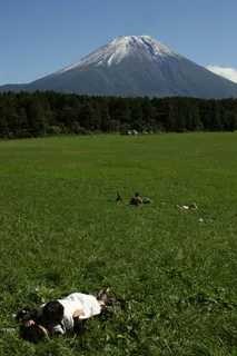 生活可能会比这更好，但我很难想象