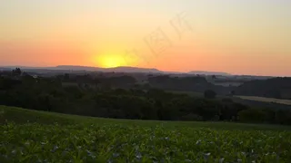风景,树,草地,天空,草原,Amanhãele volta
