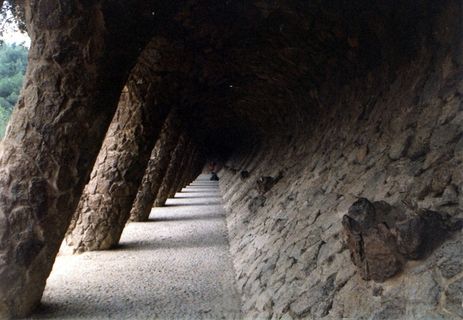 树,头发,村道,峡谷,民居,高迪 树,头发,村道,峡谷,民居,高迪