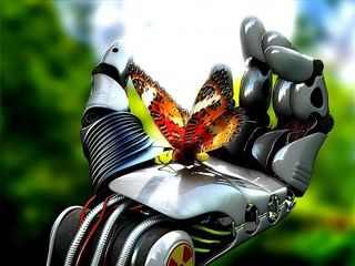 El Robot y la Mariposa