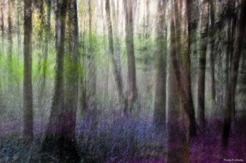 生态林,瀑布,日本紫藤,松林,白桦,抽象森林13