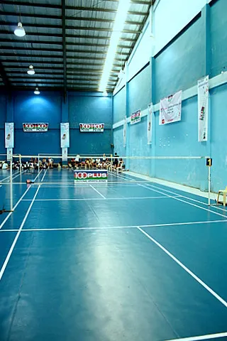 赛克斯羽毛球21