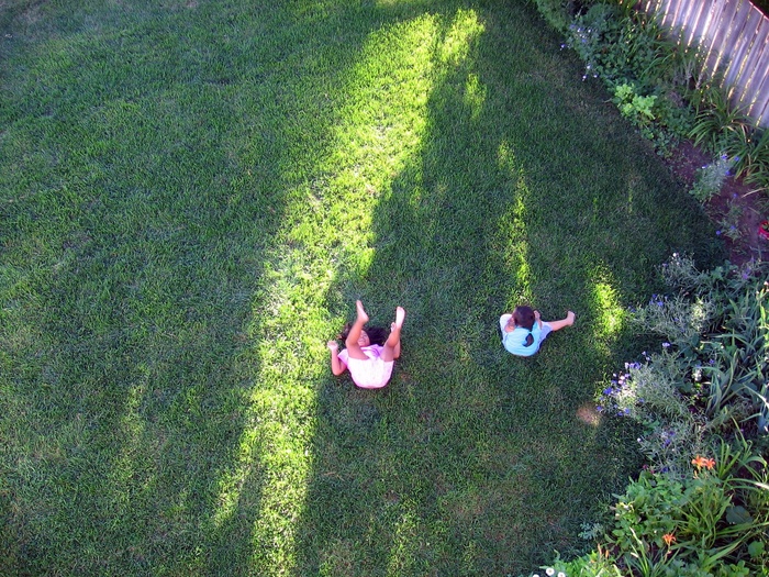 花卉,树,村道,虫子,卡通动漫人物,孩子们玩