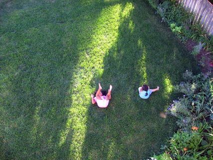 花卉,树,村道,虫子,卡通动漫人物,孩子们玩