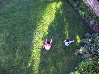 花卉,树,村道,虫子,卡通动漫人物,孩子们玩