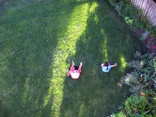 花卉,树,村道,虫子,卡通动漫人物,孩子们玩