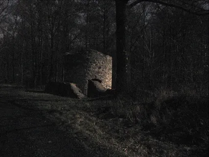 树,包,城楼,手提包,轿车,科尔梅·托尼亚（2）