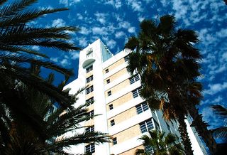 现代建筑,树,椰子树,建筑,大王椰子,南海滩酒店