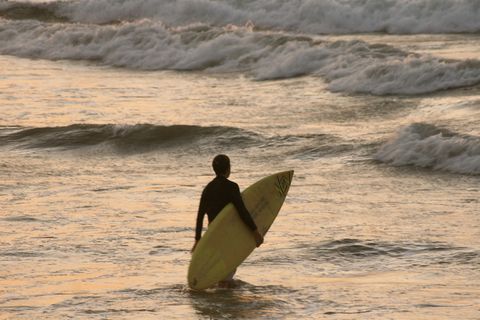 海洋,冲浪,滑水,摩托艇,虎鲸,日落冲浪者