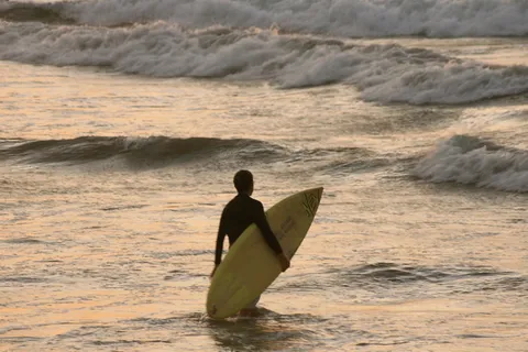 海洋,冲浪,滑水,摩托艇,虎鲸,日落冲浪者