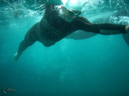 哺乳动物,海狮,鸟类,鱼类,虫子,铁人三项圣西尔CKT 2010（61）