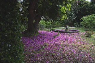 \\\\\\\\\\\“ \\\\” \\\\\\\\\\\ ///// \\\\“ \\\\“ \\\\\“ \\\\“ \\\\\“春季设置\”，\\\\\\\\\\\\\\\ \葡萄牙，布拉加，Tenoes，Bom Jesus do Monte