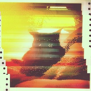 ...在此之前，他已经过了很多生活，现在满足于翻倒并刮擦，在他的耳朵来回摆动时流口水。猫王国的老年人，时而鼓起黄眼睛，几乎总是对贝因发出声音