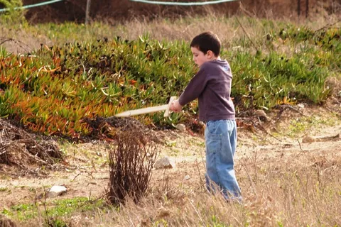 不好了！别杀了那个灌木丛！
